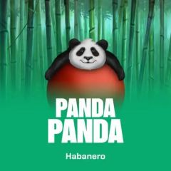 Panda Panda by Habanero